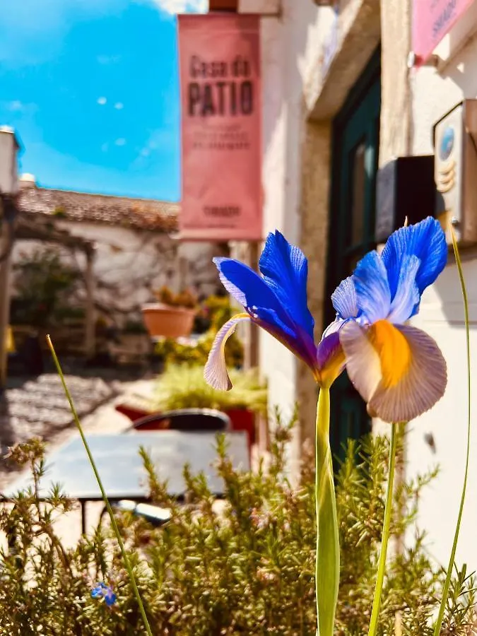 מלון ליסבון Casa Do Patio By Shiadu בית הארחה